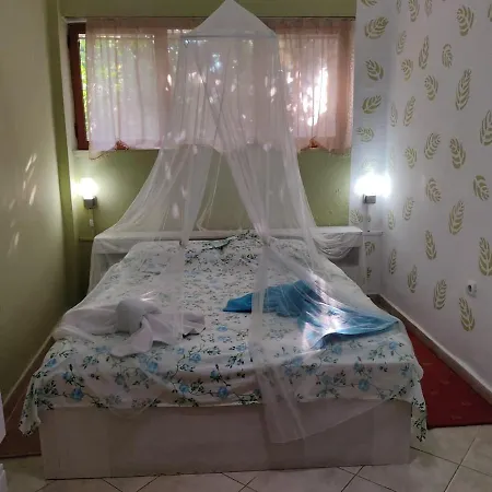 Private Historic Center Elbasan