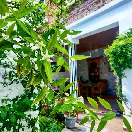 Private Historic Center Appartement Elbasan