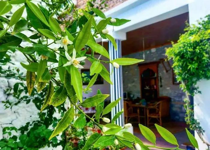 Private Historic Center Apartment Elbasan